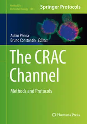 Penna / Constantin | The CRAC Channel | E-Book | sack.de