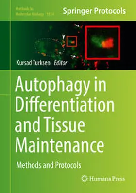 Turksen |  Autophagy in Differentiation and Tissue Maintenance | eBook | Sack Fachmedien