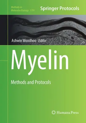 Woodhoo |  Myelin | Buch |  Sack Fachmedien