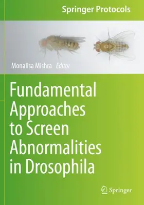 Mishra |  Fundamental Approaches to Screen Abnormalities in Drosophila | Buch |  Sack Fachmedien