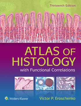 Eroschenko |  Atlas of Histology with Functional Correlations | Buch |  Sack Fachmedien