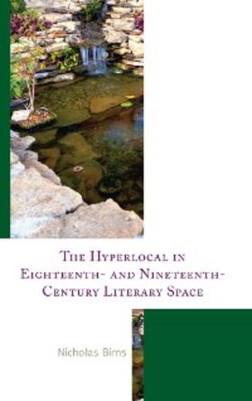Birns |  The Hyperlocal in Eighteenth- and Nineteenth-Century Literary Space | eBook | Sack Fachmedien