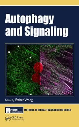 Wong |  Autophagy and Signaling | Buch |  Sack Fachmedien