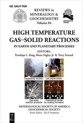 King / Fegley / Seward |  High Temperature Gas-Solid Reactions in Earth and Planetary Processes | eBook | Sack Fachmedien