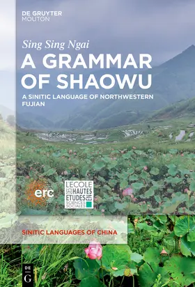 Ngai | A Grammar of Shaowu | Buch | 978-1-5015-1772-3 | sack.de