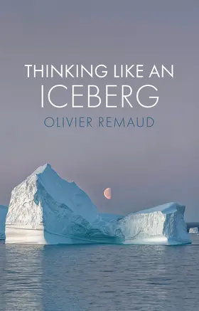 Remaud |  Thinking Like an Iceberg | Buch |  Sack Fachmedien