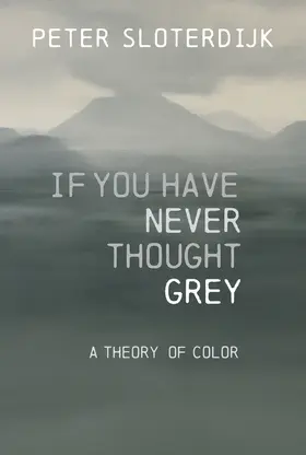 Sloterdijk |  If You Have Never Thought Gray | Buch |  Sack Fachmedien