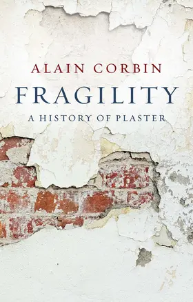 Corbin |  Fragility | Buch |  Sack Fachmedien