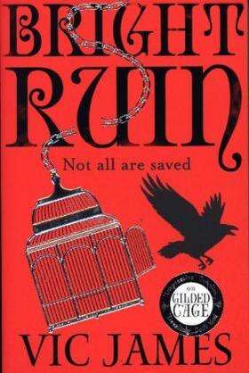 James |  Bright Ruin | Buch |  Sack Fachmedien