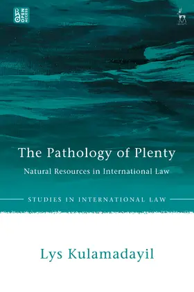 Kulamadayil | The Pathology of Plenty | Buch | 978-1-5099-6962-3 | sack.de