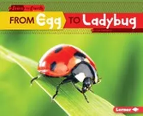 Owings |  From Egg to Ladybug | eBook | Sack Fachmedien