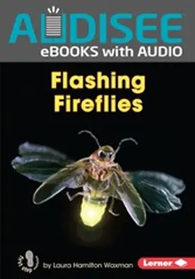 Waxman |  Flashing Fireflies | eBook | Sack Fachmedien