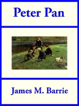 Barrie |  Peter Pan | eBook | Sack Fachmedien