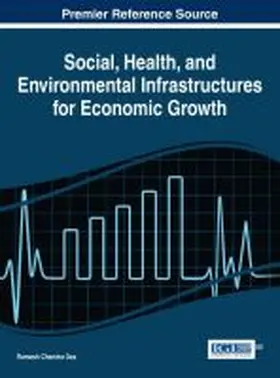 Das |  Social, Health, and Environmental Infrastructures for Economic Growth | Buch |  Sack Fachmedien