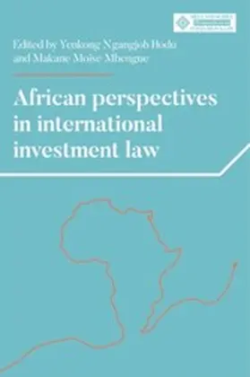 Hodu / Unknown / Mbengue |  African perspectives in international investment law | eBook | Sack Fachmedien