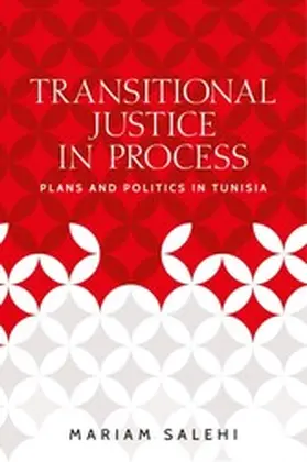 Salehi |  Transitional justice in process | eBook | Sack Fachmedien