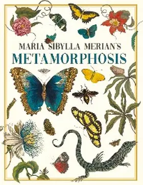 Merian / Gillis |  Maria Sibylla Merian's Metamorphosis | eBook | Sack Fachmedien