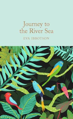Ibbotson |  Journey to the River Sea | Buch |  Sack Fachmedien