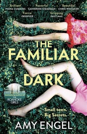 Engel |  The Familiar Dark | Buch |  Sack Fachmedien
