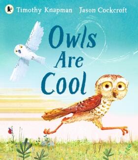 Knapman |  Owls Are Cool | Buch |  Sack Fachmedien