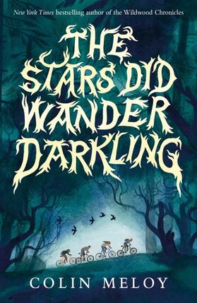 Meloy |  The Stars Did Wander Darkling | Buch |  Sack Fachmedien