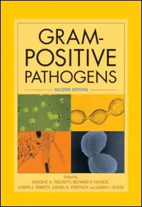 Fischetti / Novick / Ferretti | Gram-Positive Pathogens | Buch | 978-1-55581-343-7 | sack.de
