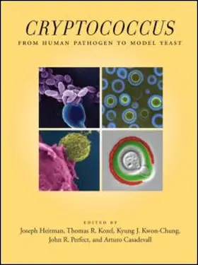 Heitman / Kozel / Kwon-Chung |  Cryptococcus | Buch |  Sack Fachmedien