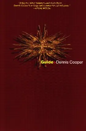 Cooper |  Guide | eBook | Sack Fachmedien