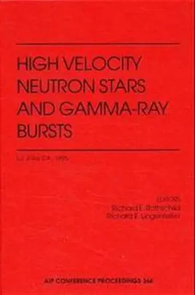 Rothschild / Lingenfelter |  High Velocity Neutron Stars and Gamma-Ray Bursts | Buch |  Sack Fachmedien