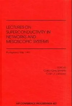 Giovannella / Lambert |  Superconductivity in Networks and Mesoscopic Systems | Buch |  Sack Fachmedien