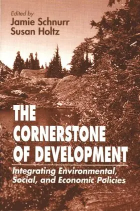 Schnurr / Holtz / Armstrong |  The Cornerstone of Development | Buch |  Sack Fachmedien