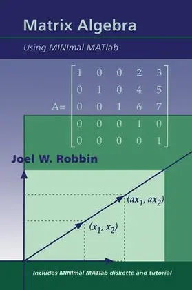 Robbin |  Matrix Algebra Using MINimal MATlab | Buch |  Sack Fachmedien