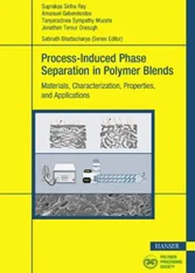 Ray / Geberekrstos / Muzata |  Process-Induced Phase Separation in Polymer Blends | eBook | Sack Fachmedien