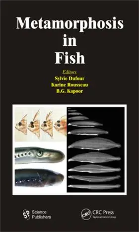 Dufour / Rousseau / Kapoor |  Metamorphosis in Fish | Buch |  Sack Fachmedien