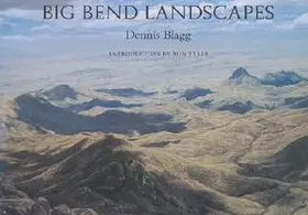 Blagg |  Big Bend Landscapes | Buch |  Sack Fachmedien