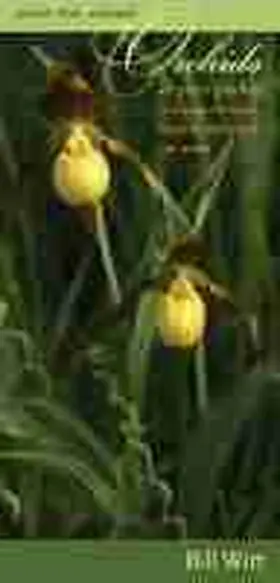  Orchids in Your Pocket: A Guide to the Native Orchids of Iowa | Buch |  Sack Fachmedien