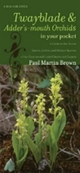 Brown |  Twayblades and Adder's-Mouth Orchids in Your Pocket: A Guide to the Native Liparis, Listera, and Malaxis Species of the Continental United States and | Sonstiges |  Sack Fachmedien