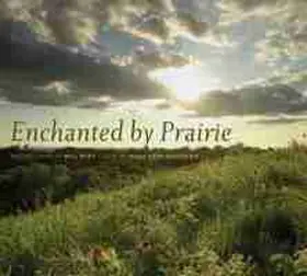Davidson |  Enchanted by Prairie | Buch |  Sack Fachmedien