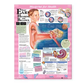  Blueprint for Health Your Ears Chart | Sonstiges |  Sack Fachmedien