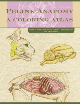 McCraken / Kainer / Carlson |  Feline Anatomy | Buch |  Sack Fachmedien
