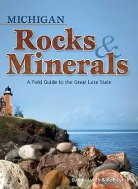 Lynch |  Michigan Rocks & Minerals | eBook | Sack Fachmedien