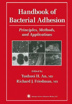 An / Friedman |  Handbook of Bacterial Adhesion | eBook | Sack Fachmedien