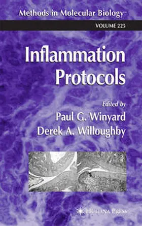 Winyard / Willoughby |  Inflammation Protocols | eBook | Sack Fachmedien