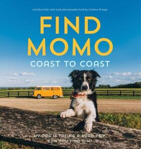 Knapp |  Find Momo Coast to Coast | Buch |  Sack Fachmedien