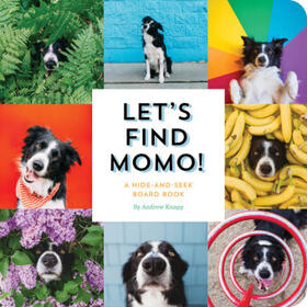 Knapp |  Let's Find Momo! | Buch |  Sack Fachmedien