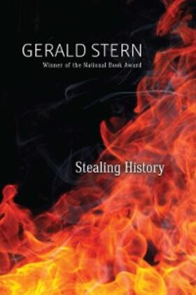 Stern |  Stealing History | eBook | Sack Fachmedien