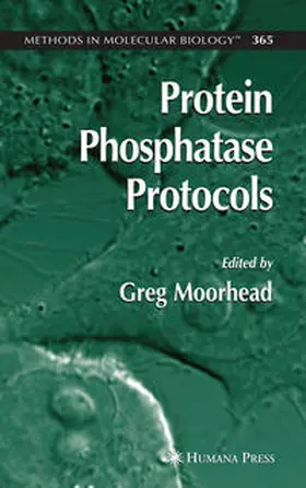 Moorhead | Protein Phosphatase Protocols | E-Book | sack.de