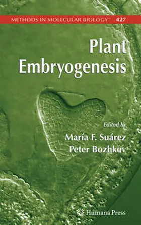 Suarez / Bozhkov |  Plant Embryogenesis | eBook | Sack Fachmedien