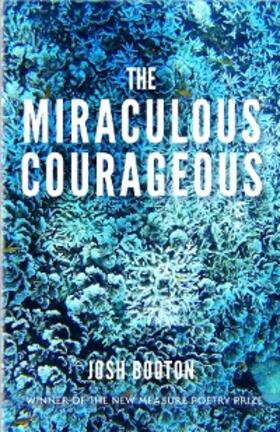 Booton |  Miraculous Courageous | eBook | Sack Fachmedien