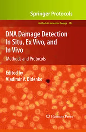 Didenko |  DNA Damage Detection In Situ, Ex Vivo, and In Vivo | eBook | Sack Fachmedien